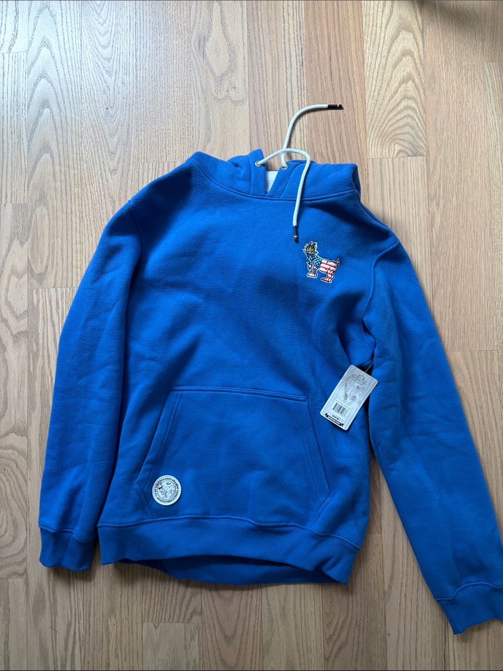 Men's Blue Pullover Hoodie with Embroidered Logo